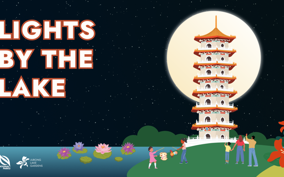 Lights by the Lake 2025