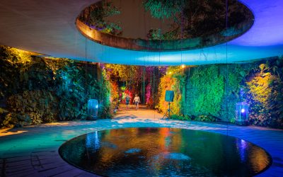 Lights by the Lake 2025